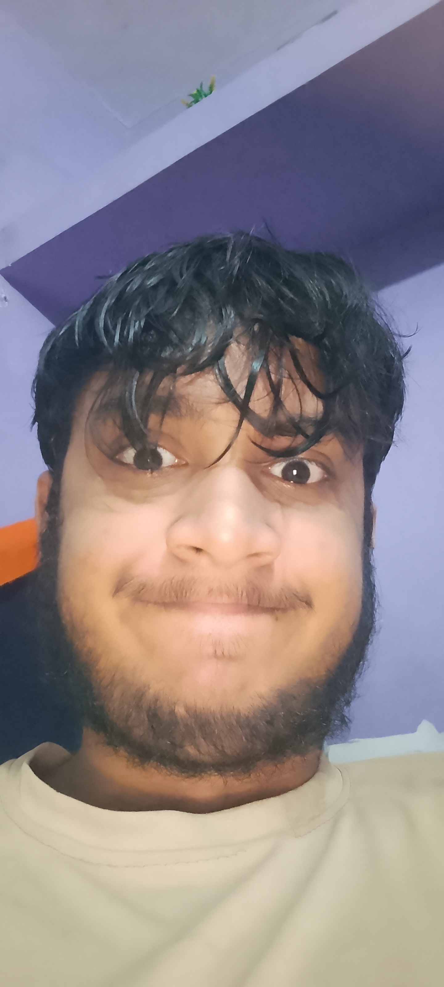 Aaryan, the developer
